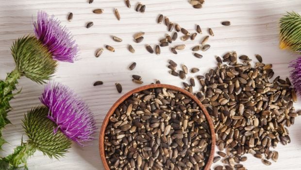 Can Milk Thistle Help Your Liver?