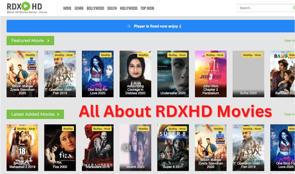 RDXHD Movies- What is it? How To use it, And Its Top Alternatives