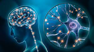 Neuropathic Pain Treatment , Effects, Injuries