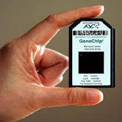 Global DNA and Gene Chips Market Industry Analysis