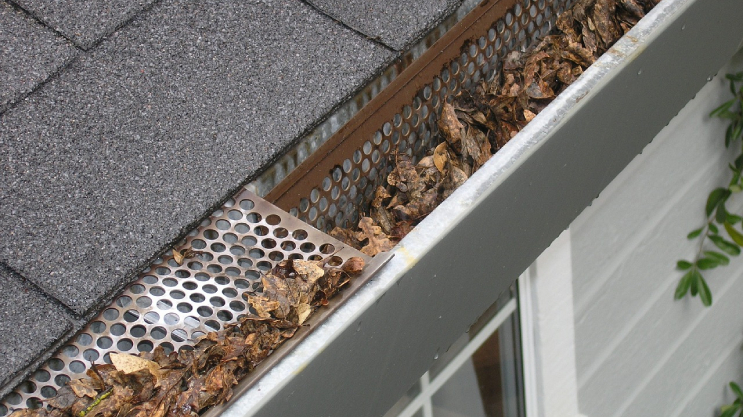 How Clogged Gutters Can Damage Your Home