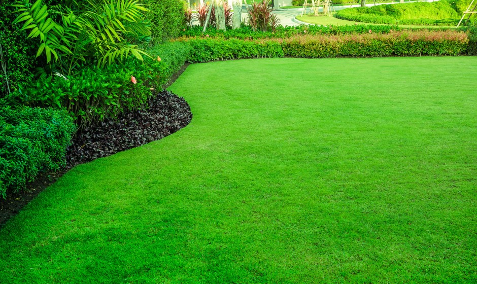 The Complete Guide to Grass Greening