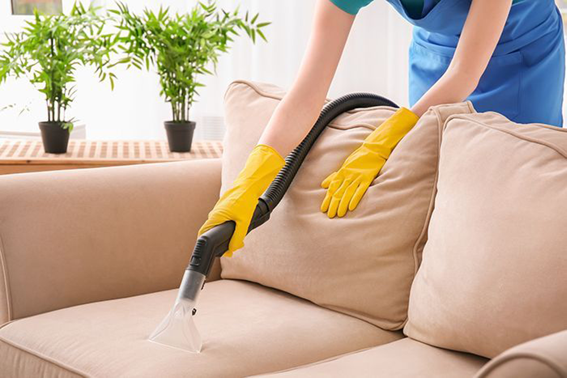 The Importance of Professional Furniture Cleaning