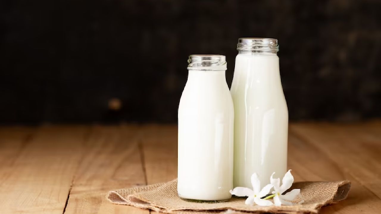 Exploring the Richness of Algerian Drinking Milk Products