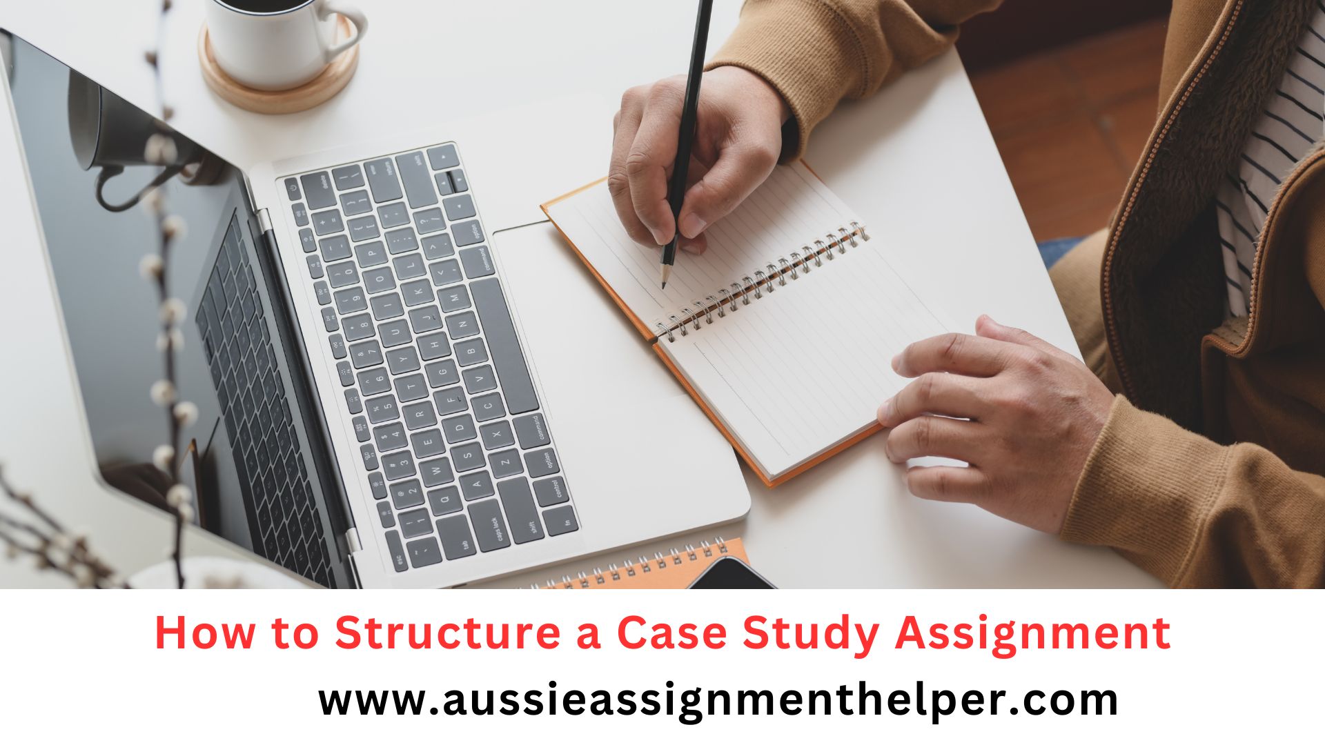 How to Structure a Case Study Assignment