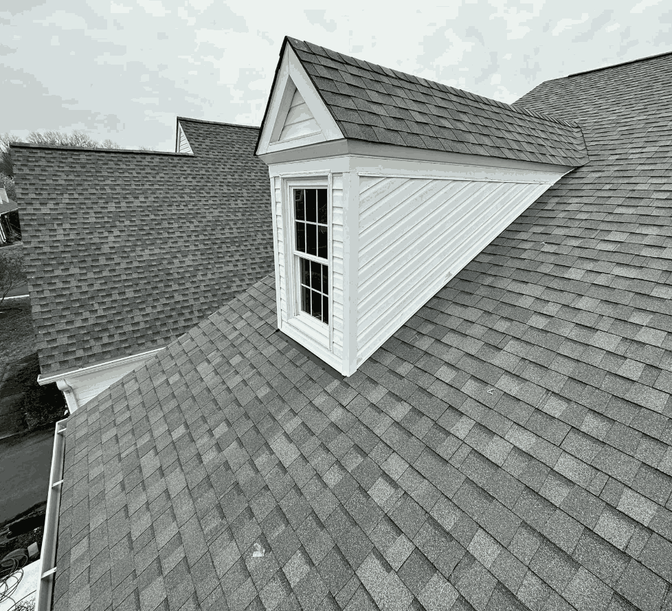 How to Survive Summer | Tips from Your Favorite Danville Roofer