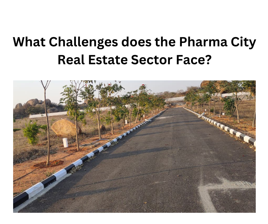 What Challenges does the Pharma City Real Estate Sector Face?