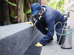 Pest Control Services and House Cleaning Services in Abu Dhabi