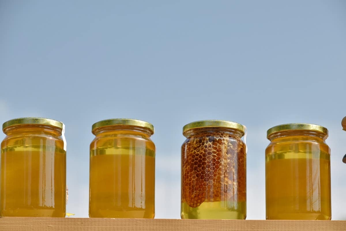 Best Honey price in Pakistan | Organic Honey in Pakistan
