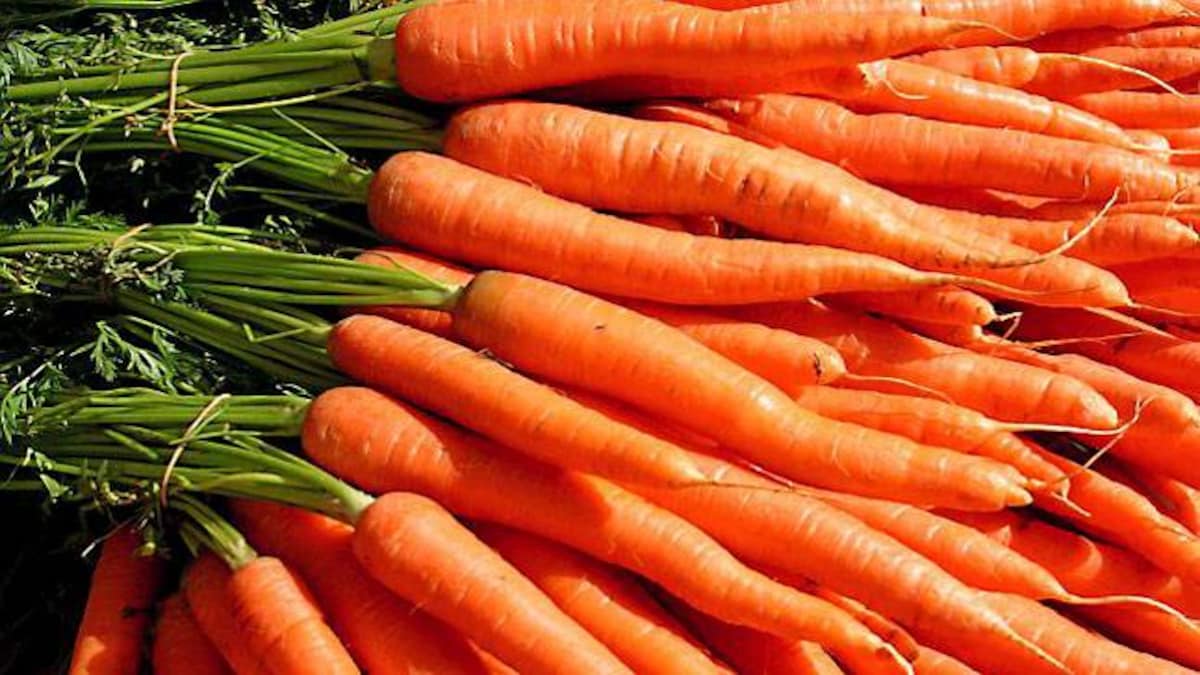 Carrot Health Benefits and Nutrition Facts