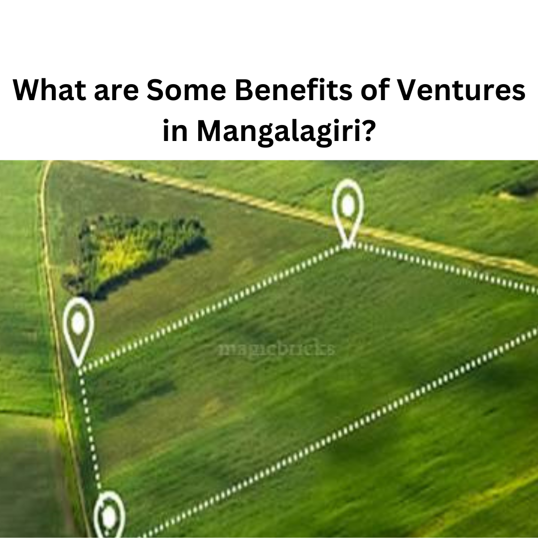 What are Some Benefits of Ventures in Mangalagiri?