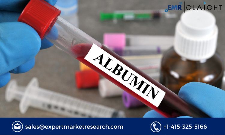 Albumin Market Size, Share, Price, Trends, Growth, Analysis, Report and Forecast 2024-2032