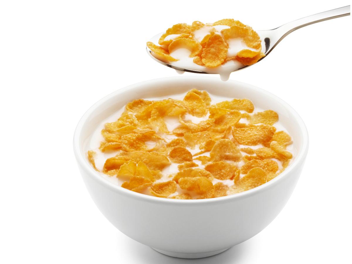 Corn Flakes Manufacturing Plant Project Report 2024