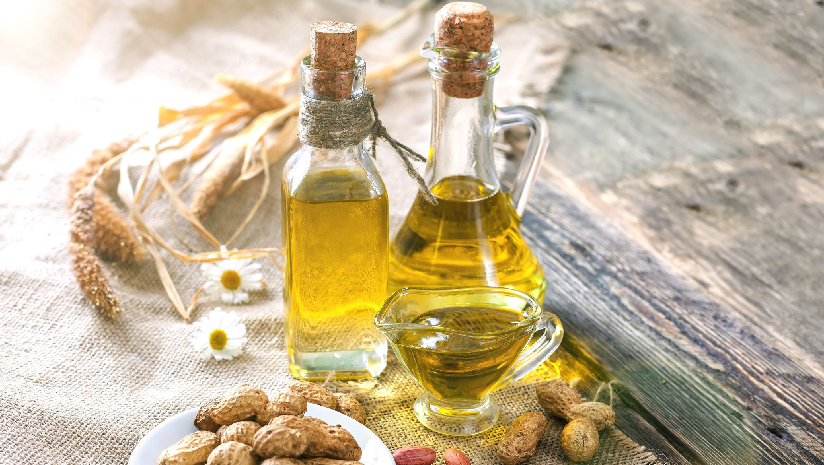 Groundnut Oil Manufacturing Plant Project Report 2023