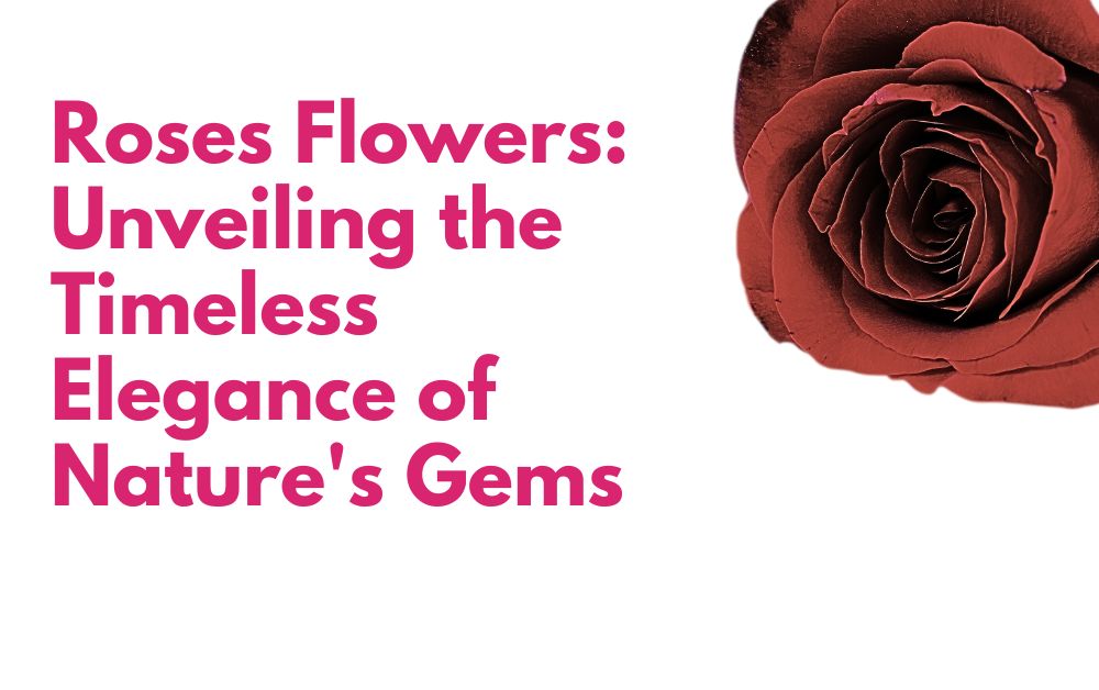 Roses Flowers: Unveiling the Timeless Elegance of Nature’s Gems