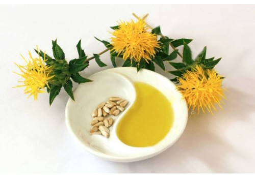 Safflower Oil Manufacturing Plant Project Report 2023