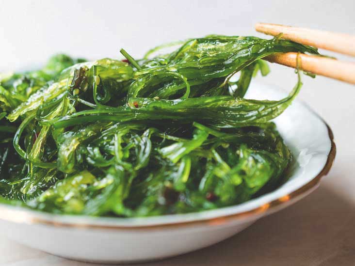 Seaweed Protein Manufacturing Plant Project Report 2023