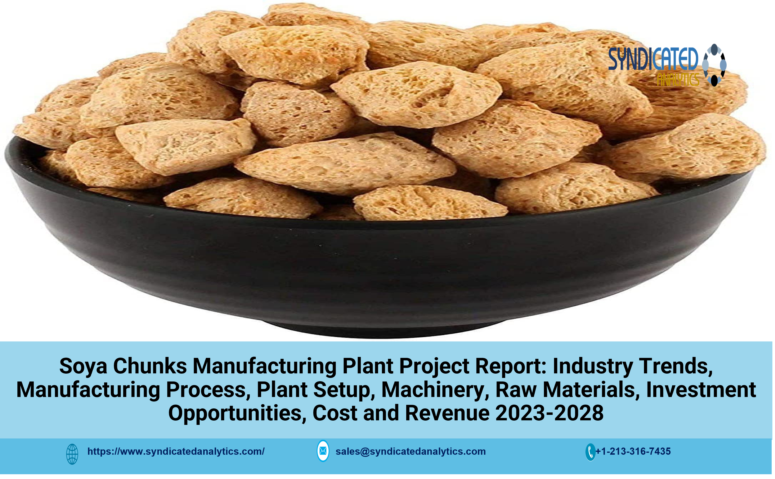 Soya Chunks Manufacturing Plant Project Report 2024