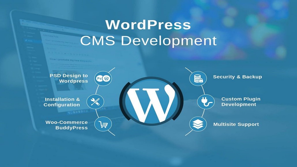WordPress Development in Lahore